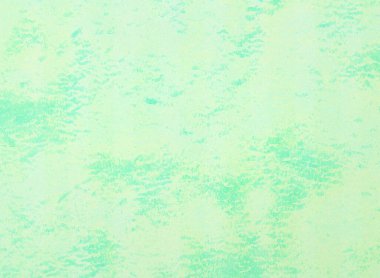 Yeşil kare arka plan. Pankart, poster, Ad, olaylar ve çeşitli tasarım çalışmaları için basit tasarım