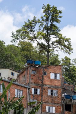 Shacks in the favelas invading the Atlantic Forest in a poor neighborhood in the city of Sao Paulo, Brazil