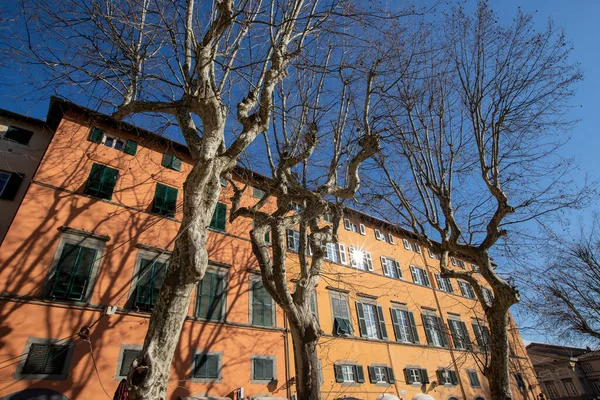 도시인 이탈리아 심지에 플라자 레오네에 전형적 이탈리아 건물들의 — 스톡 사진