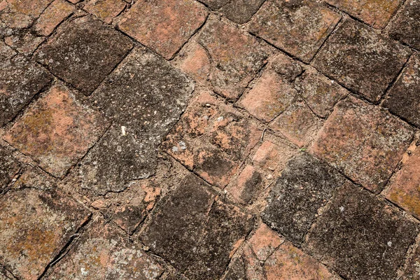 古いブラジル農場のパティオを乾燥コーヒーの典型的な粘土の床タイル — ストック写真