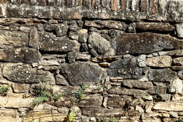 Primer Plano Antigua Pared Piedra Irregular Típica Patios Antiguas Fincas — Foto de Stock