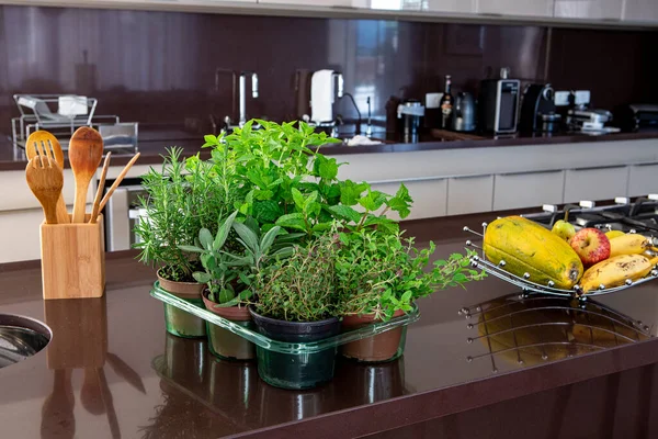 Variedade Ervas Aromáticas Culinárias Vasos Sobre Pia Uma Cozinha Moderna — Fotografia de Stock