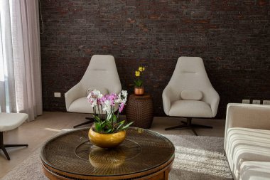 Kanepesi ve orkideleri olan modern bir oturma odası. 