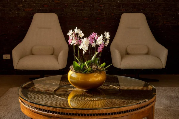 Modern Interieur Van Woonkamer Met Bank Orchideeën — Stockfoto
