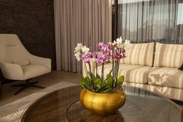 Interior Moderno Sala Estar Com Sofá Orquídeas — Fotografia de Stock