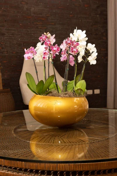 Piękny Wazon Białymi Różowymi Orchideami Zdobiące Salon Domku — Zdjęcie stockowe