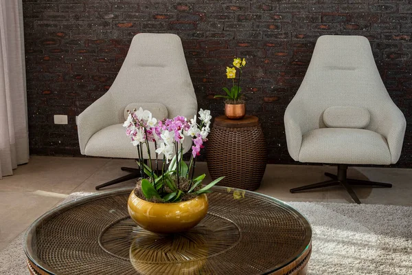 Moderní Interiér Obývacího Pokoje Pohovkou Orchidejemi — Stock fotografie