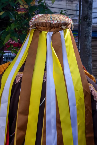 Decoración Multicolor Gorra Cintas Tradicional Manifestación Folclórica Congada Santa Ifignia — Foto de Stock