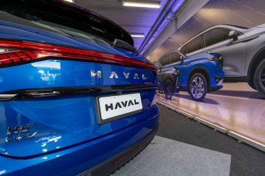 Sao Paulo, Brezilya - Temmuz - 2023 - Radyatör ızgarasındaki Haval araba logosunun yakın çekimi 