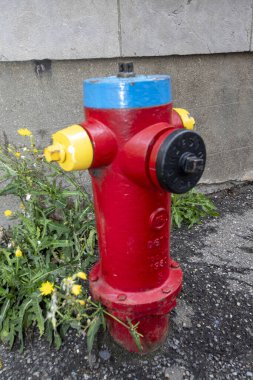 Montreal-Kanada şehir merkezinde renkli bir yangın musluğu