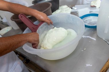 Itanhandu, Minas Gerais, Brezilya - 13 Eylül 2023 - Brezilya 'nın Minas Gerais eyaletinin kırsal kesiminde Itanhandu' da geleneksel bufalo peynirli mozzarella üretimi
