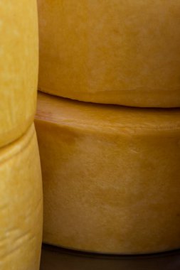 Olgunlaşma sürecinde sanatsal parmesan peyniri. Brezilya