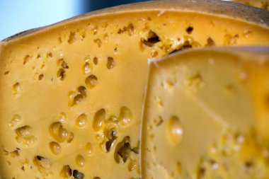 Gruyere veya emmental peynirin karakteristik delikleri ile kapat