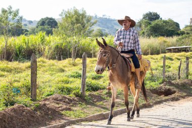Minas Gerais, Brezilya - 12 Temmuz - 2023: Minas Gerais kırsalında at süren insanların görüntüsü