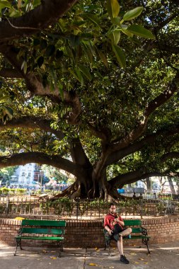 Buenos Aires, Arjantin - 28 Ocak 2024 - Arjantin 'in Buenos Aires kentindeki La Recoleta mahallesindeki büyük bir incir ağacının gölgesinde genç bir adam cep telefonuna bakar.