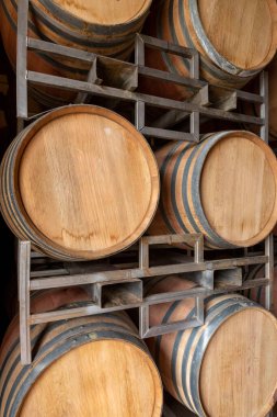 Şaraphanenin mahzeninde yeni şarap ya da konyak fıçıları, perspektif olarak ahşap şarap fıçıları. Asma mahzenleri. Klasik meşe fıçıları bira ya da brendi..