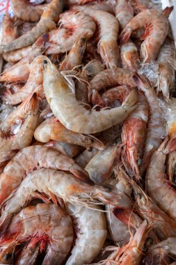 Balıkçı tezgahında taze karides yakın plan. Santos şehri, Brezilya. 