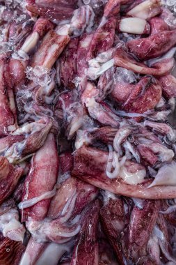 Brezilya 'nın Santos kentindeki balık pazarında taze mürekkep balığı ya da mürekkep balığını kapatıyoruz.