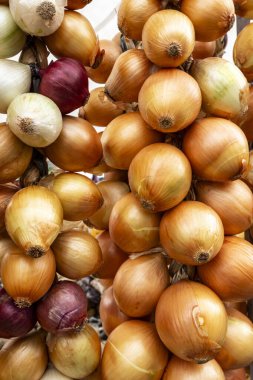 Açık hava pazarında soğan topakları. Sao Paulo şehri, Brezilya