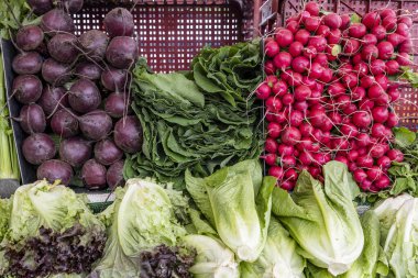 Tatlı patates, lahana, turp ve marul. Sao Paulo, Brezilya