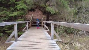 A forest path in the mountains of Ukraine. High mountain lake Synevyr. Spruce trees in the mountains. View of pines and firs. Tree tops in the forest. View from the bottom up.