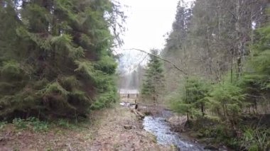 A forest path in the mountains of Ukraine. High mountain lake Synevyr.