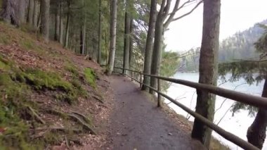A forest path in the mountains of Ukraine. High mountain lake Synevyr.