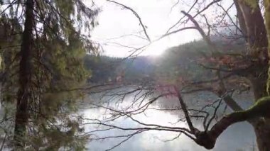 A forest path in the mountains of Ukraine. High mountain lake Synevyr.