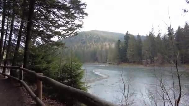 Forest Path Mountains Ukraine High Mountain Lake Synevyr — Vídeo de Stock