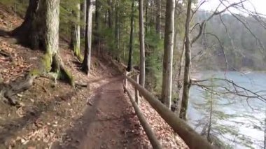 A forest path in the mountains of Ukraine. High mountain lake Synevyr.