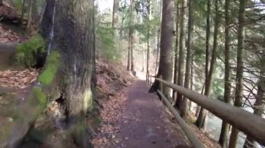 A forest path in the mountains of Ukraine. High mountain lake Synevyr.