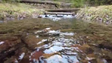 A forest path in the mountains of Ukraine. High mountain lake Synevyr. A river in the mountains.