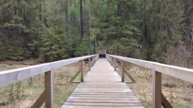 A forest path in the mountains of Ukraine. High mountain lake Synevyr. Wooden bridge in the mountains.