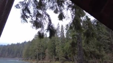 A forest path in the mountains of Ukraine. High mountain lake Synevyr. Wooden gazebo in the mountains. Old wooden house in the forest.
