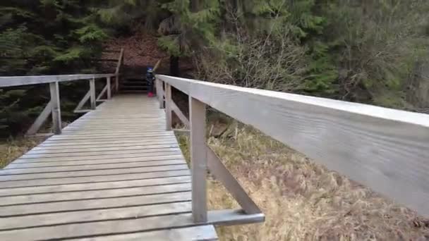 Forest Path Mountains Ukraine High Mountain Lake Synevyr Wooden Bridge — Vídeo de Stock