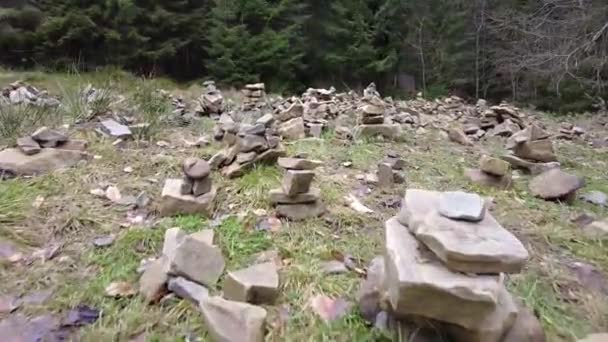 Jalur Hutan Pegunungan Ukraina Danau Pegunungan Tinggi Synevyr Batu Glade — Stok Video