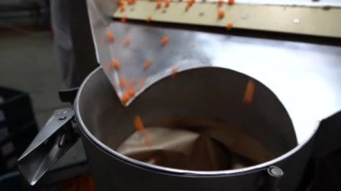 Chernihiv region, Ukraine - January 2023: Sea buckthorn crop sorting at one of the sea buckthorn berry farms. Frozen sea buckthorn berries.