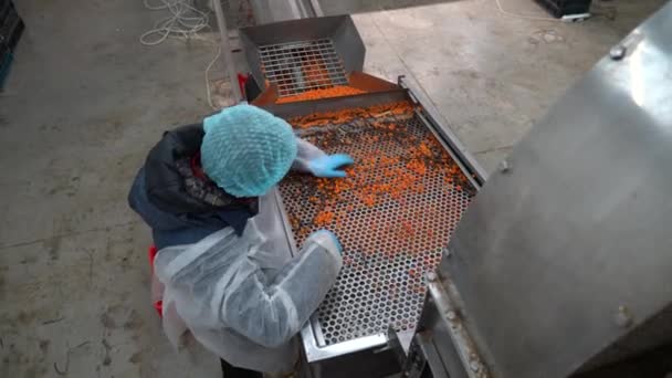 Chernihiv Region Ukraine January 2023 Sea Buckthorn Crop Sorting One — Wideo stockowe