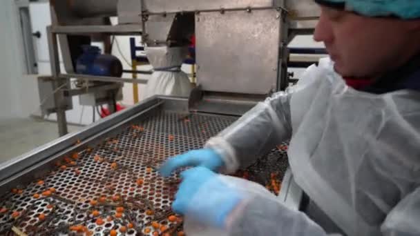 ウクライナのチェルニヒフ地方 2023年1月 海クロウメモドキの果実農場の1つで海クロウメモドキの作物を選別する 冷凍シーバックソーンベリー — ストック動画