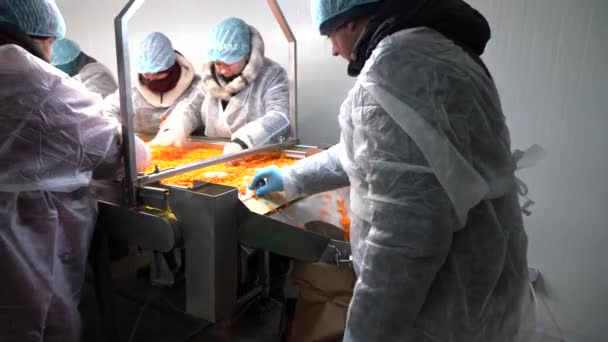 Chernihiv Region Ukraine January 2023 Sea Buckthorn Crop Sorting One — Stockvideo
