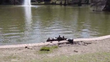 Spain, Madrid - March 13, 2023: View of the park near the Glass Palace (Palacio de Cristal