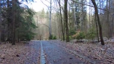 Blansko bölgesi, Çek Cumhuriyeti - 25 Şubat 2023: Punkva Mağaraları. Moravian Karst Mağaraları. Stolognitler, yeraltı dünyası..