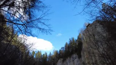 Blansko bölgesi, Çek Cumhuriyeti - 25 Şubat 2023: Punkva Mağaraları. Moravian Karst Mağaraları. Stolognites
