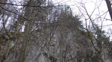 Blansko bölgesi, Çek Cumhuriyeti - 25 Şubat 2023: Punkva Mağaraları. Moravian Karst Mağaraları. Ormandaki dağ nehri. Ormana yağmur yağıyor. Ormanda ıslak kar