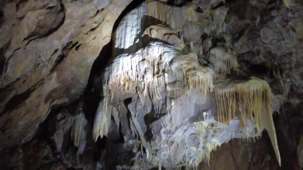 District Blansko République Tchèque Février 2023 Grottes Punkva Grottes Karst — Video