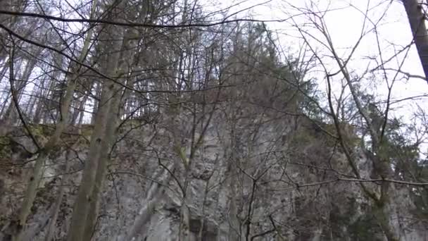 Blansko District Czech Republic February 2023 Punkva Caves 洞穴摩拉维亚岩溶 森林里的山河 — 图库视频影像