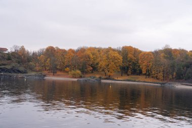 Oslo, Norveç - 20 Ekim 2024: Oslofjord (Oslofjorden), körfez ve ada manzarası. Sonbahar ormanı.