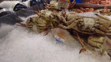 Oslo, Norveç - 19 Ekim 2024: Deniz ürünleri bir mağazada sergileniyor. Yengeç, karides ve istiridye bir mağazada sergileniyor.