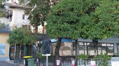 Limone Sul Garda, İtalya - 7 Kasım 2024: Ağaçtaki hurma meyveleri. Bir dalda büyüyen hurma