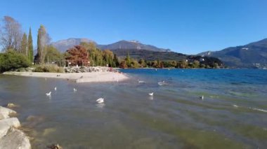 Riva del Garda, İtalya - 7 Kasım 2024 Garda Gölü ve dağların manzarası. Adamello feribotu.